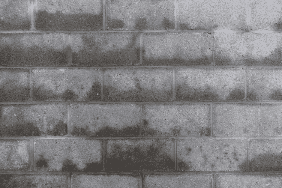 Rising Damp